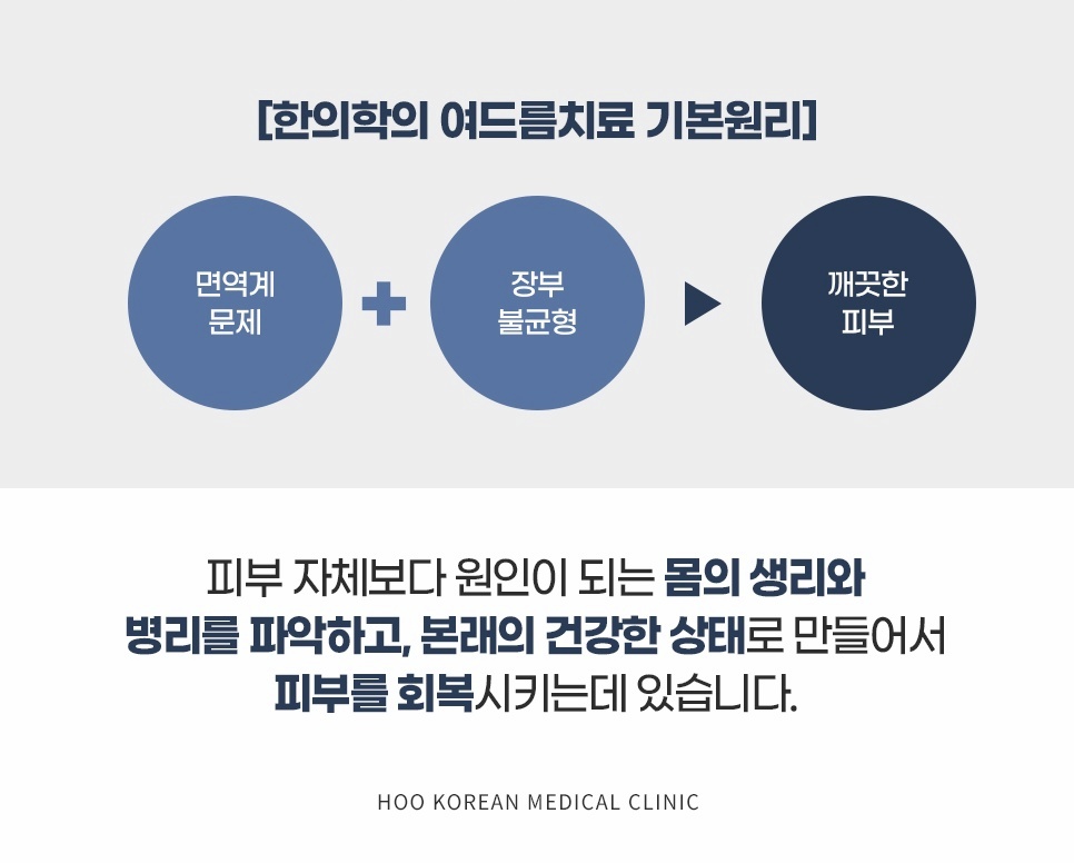 면역계 문제와 장부 불균형을 바로잡아 깨끗한 피부로 이어지는 한의학 여드름 치료 원리