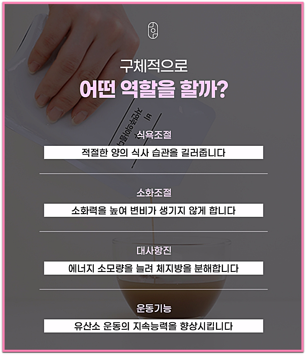 제주한방다이어트 한약이 돕는 식욕 조절, 소화 조절, 대사 촉진, 운동 기능 네 가지 방향